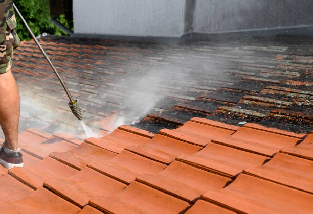 Best Roof Power Washing Services  in Hempstead, TX